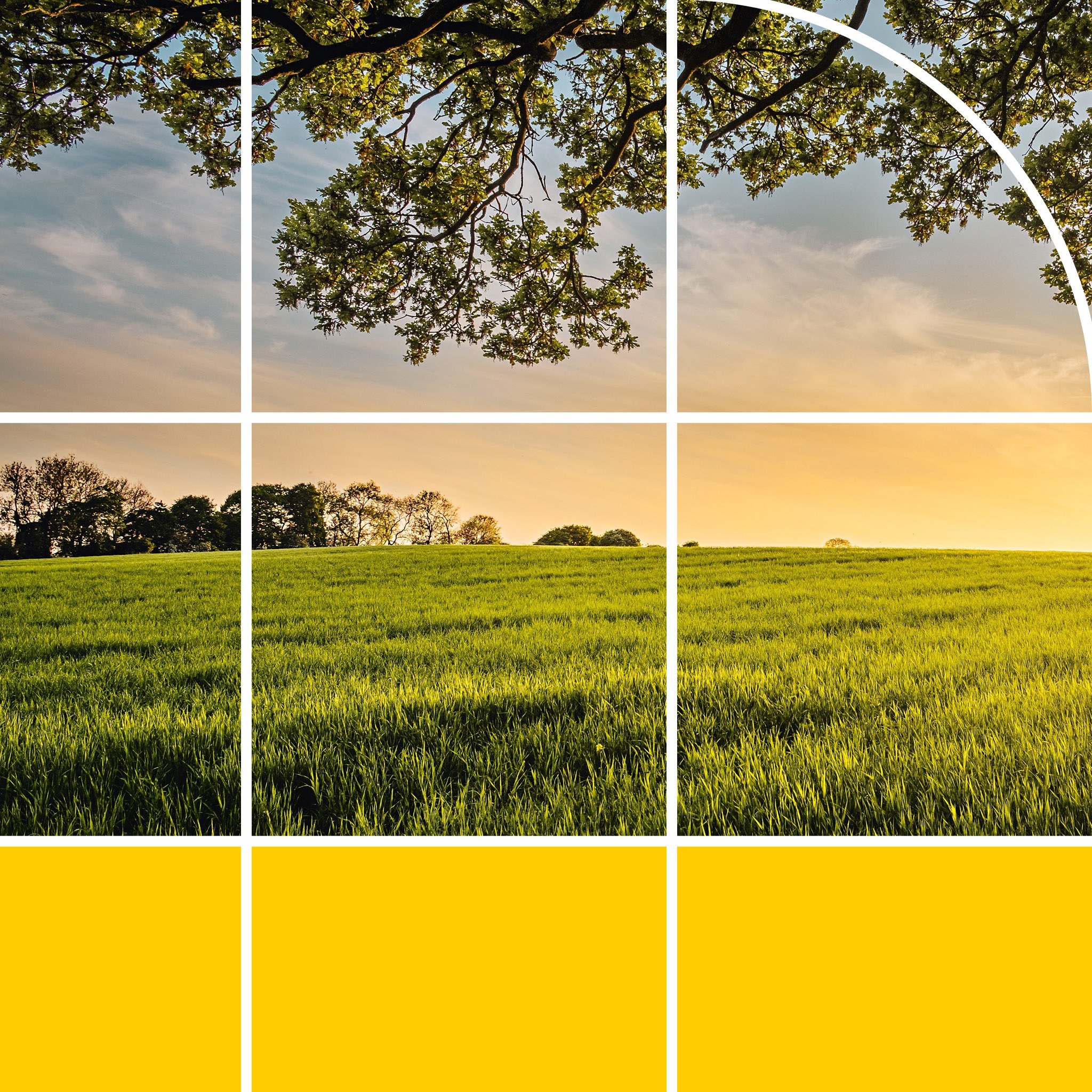 Ceres — Brand tile system over field